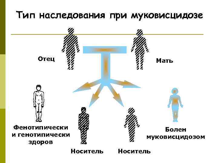 Типы наследования с картинками