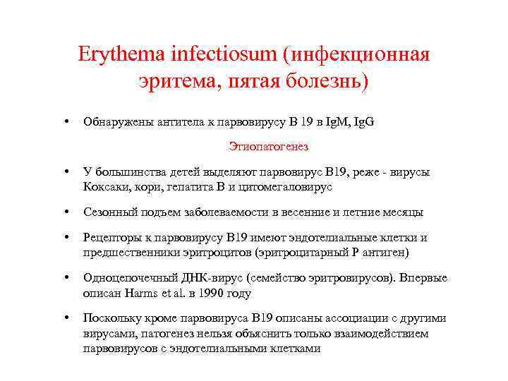 Erythema infectiosum (инфекционная эритема, пятая болезнь) • Обнаружены антитела к парвовирусу B 19 в