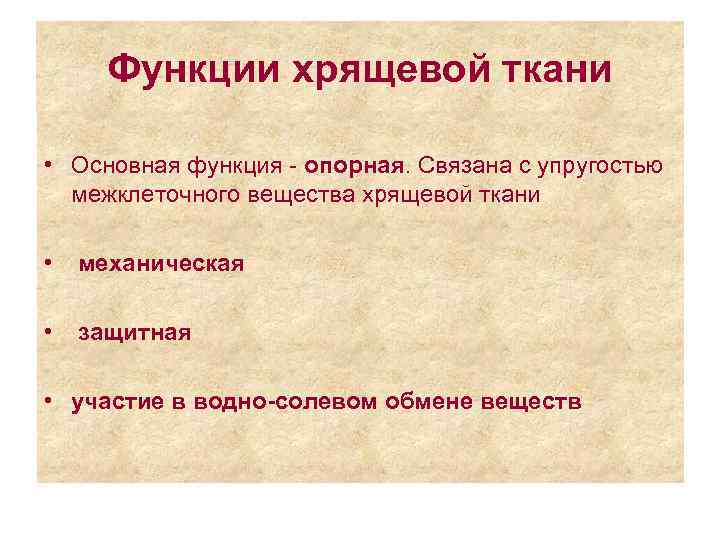 Опорная функция