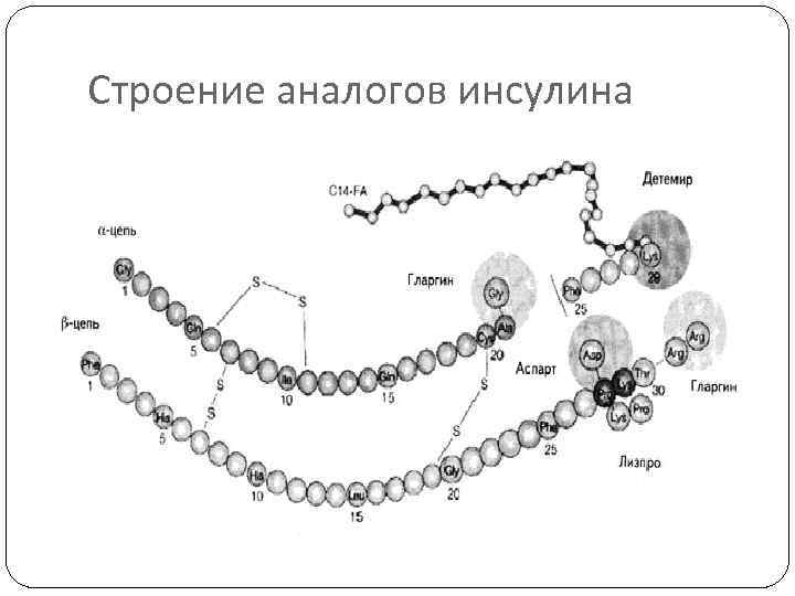 Строение аналогов инсулина 