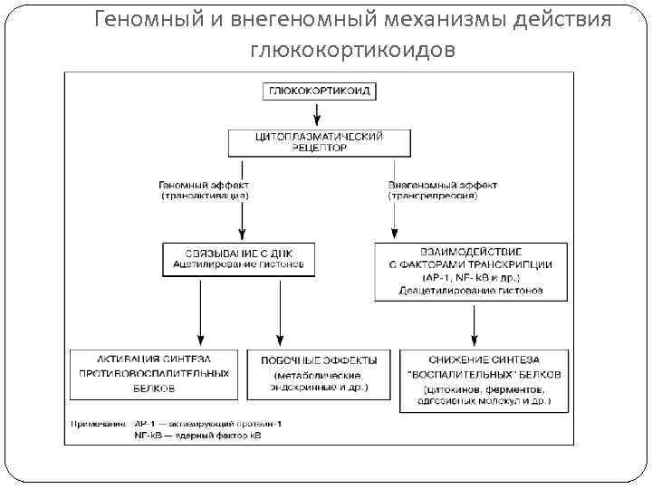 Геномный и внегеномный механизмы действия   глюкокортикоидов 