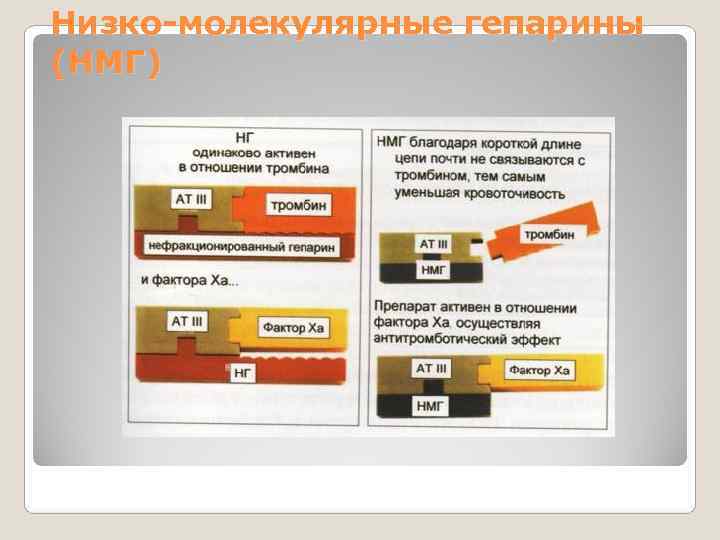 Низко-молекулярные гепарины (НМГ) Низко-молекулярные гепарины (НМГ)