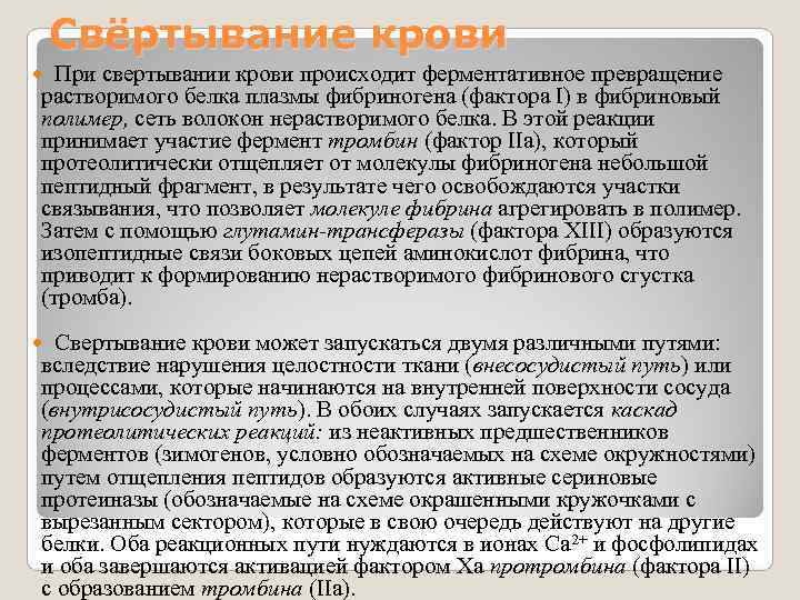 Свёртывание крови При свертывании крови происходит ферментативное превращение растворимого белка плазмы Свёртывание крови При свертывании крови происходит ферментативное превращение растворимого белка плазмы