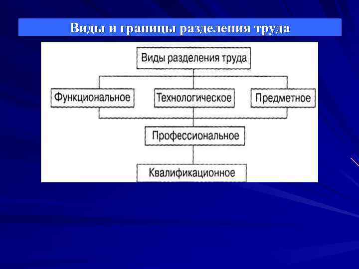 Виды и границы разделения труда Виды и границы разделения труда