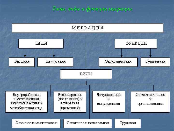 Виды миграций схема 8 класс