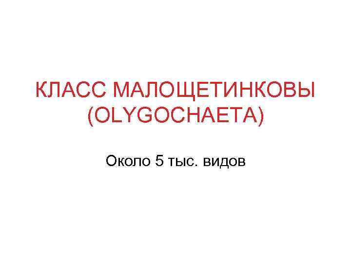 КЛАСС МАЛОЩЕТИНКОВЫ (OLYGOCHAETA) Около 5 тыс. видов 