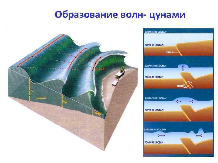 Схема образования цунами