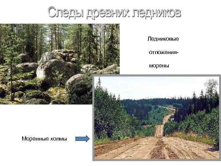    Ледниковые    отложения-    морены Моренные холмы