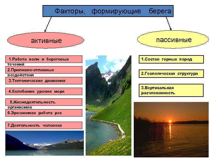     Факторы, формирующие берега   активные    