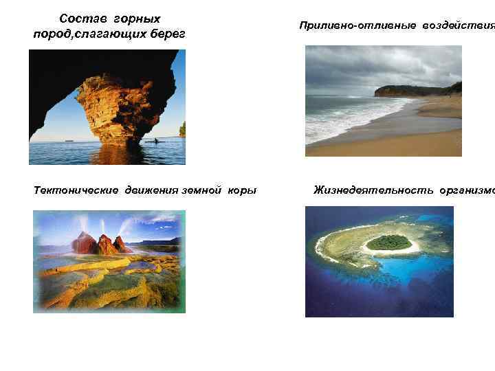   Состав горных     Приливно-отливные воздействия пород, слагающих берег Тектонические