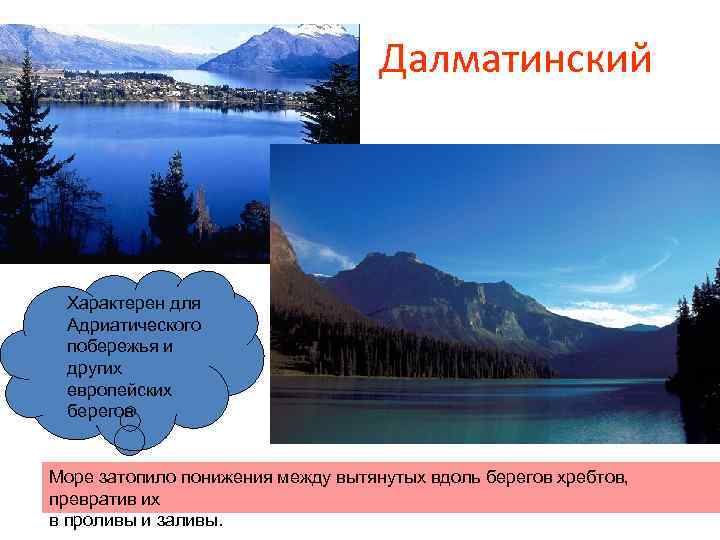       Далматинский Характерен для Адриатического побережья и других европейских
