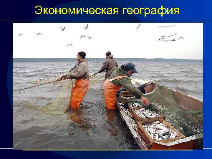 Экономическая география 