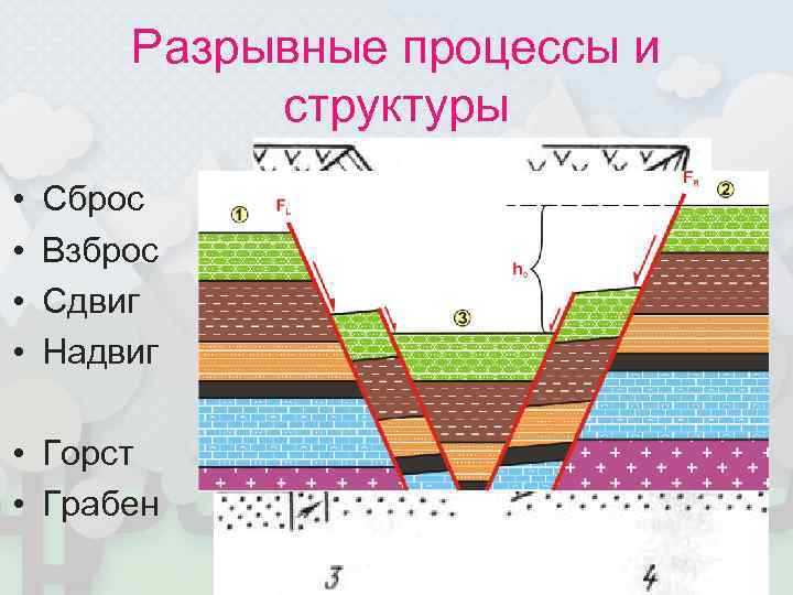   Разрывные процессы и   структуры •  Сброс •  Взброс