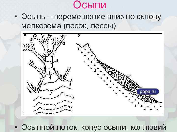    Осыпи • Осыпь – перемещение вниз по склону  мелкозема (песок,
