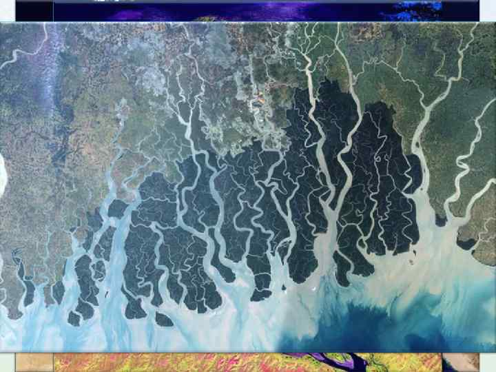 Конуса выноса 