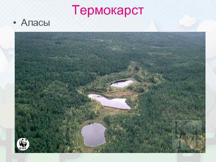    Термокарст • Аласы 