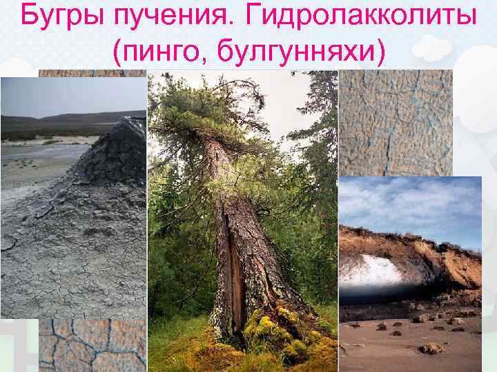 Бугры пучения. Гидролакколиты  (пинго, булгунняхи) 