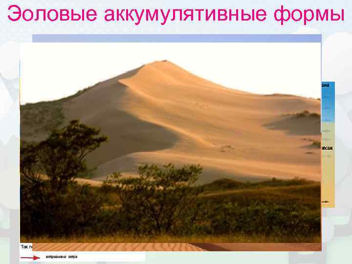 Эоловые аккумулятивные формы  • Бархан 