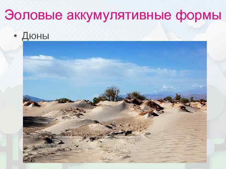 Эоловые аккумулятивные формы  • Дюны 