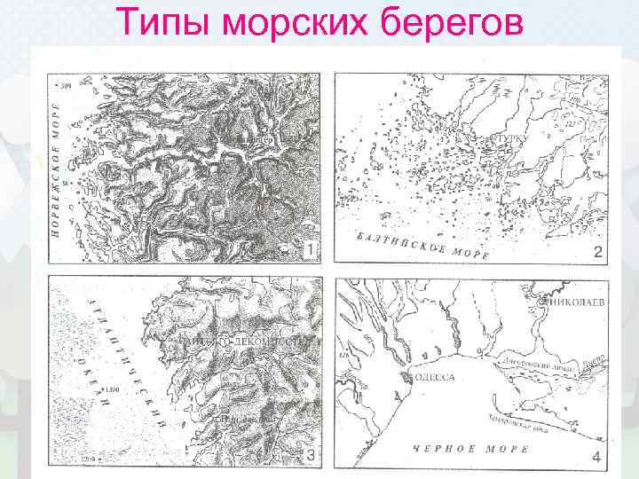 Типы морских берегов 