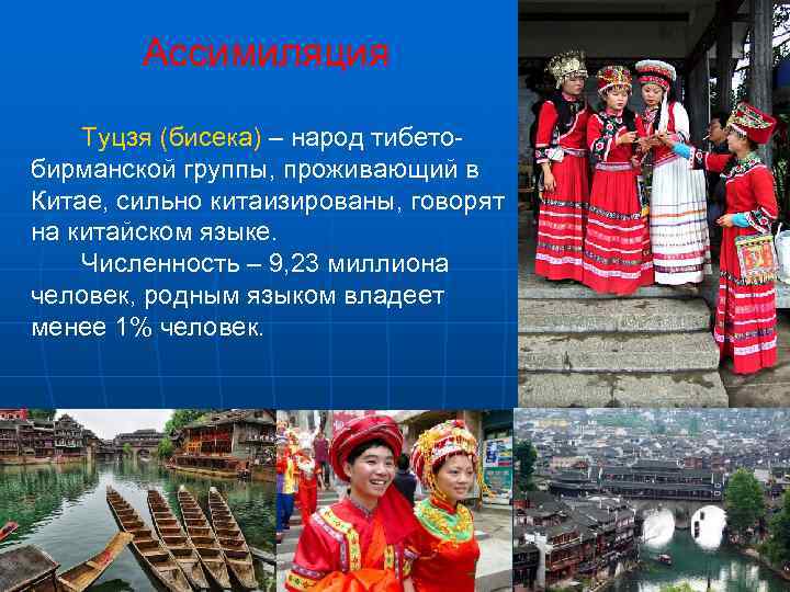   Ассимиляция Туцзя (бисека) – народ тибето- бирманской группы, проживающий в Китае, сильно