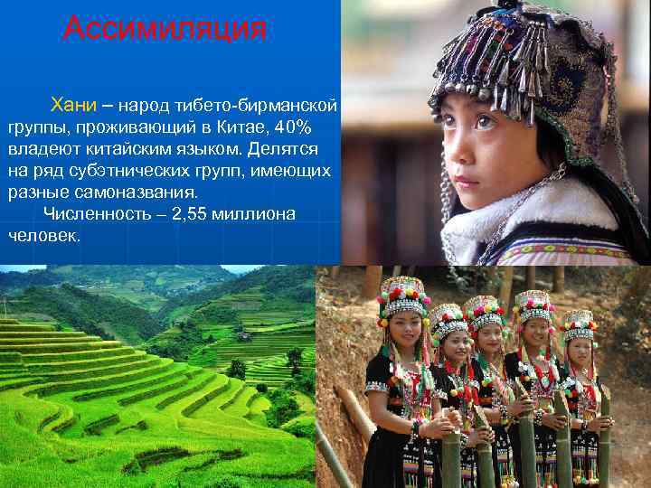  Ассимиляция Хани – народ тибето-бирманской группы, проживающий в Китае, 40% владеют китайским языком.