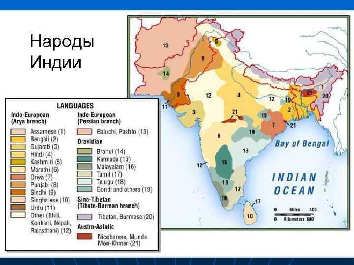 Народы Индии 