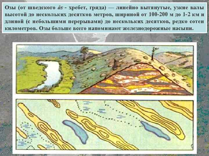 Озы (от шведского ås - хребет, гряда) — линейно вытянутые, узкие валы высотой до