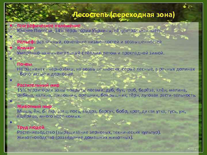      Лесостепь (переходная зона) • Географическое положение  Южнее Полесья,