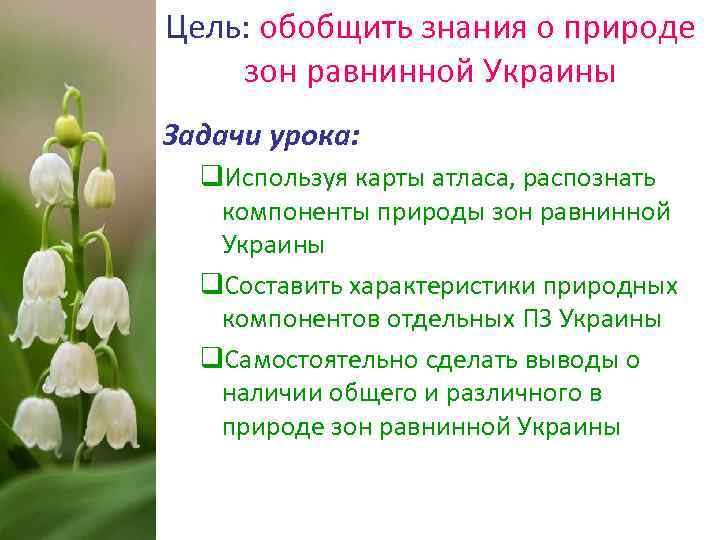 Цель: обобщить знания о природе зон равнинной Украины Задачи урока:  q. Используя карты