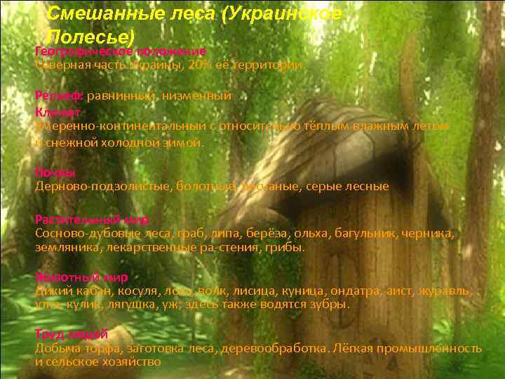  Смешанные леса (Украинское Полесье) Географическое положение Северная часть Украины, 20% её территории. 