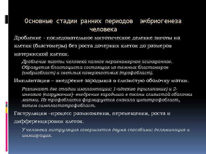   Основные стадии ранних периодов эмбриогенеза    человека Дробление - последовательное