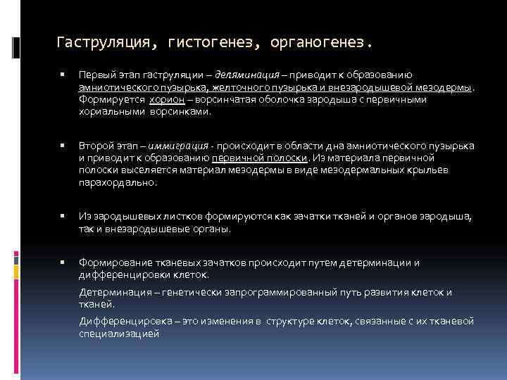 Гаструляция, гистогенез, органогенез. Первый этап гаструляции – деляминация – приводит к образованию амниотического пузырька,