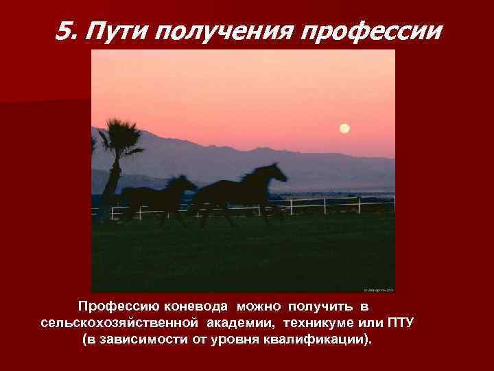  5. Пути получения профессии   Профессию коневода можно получить в  сельскохозяйственной