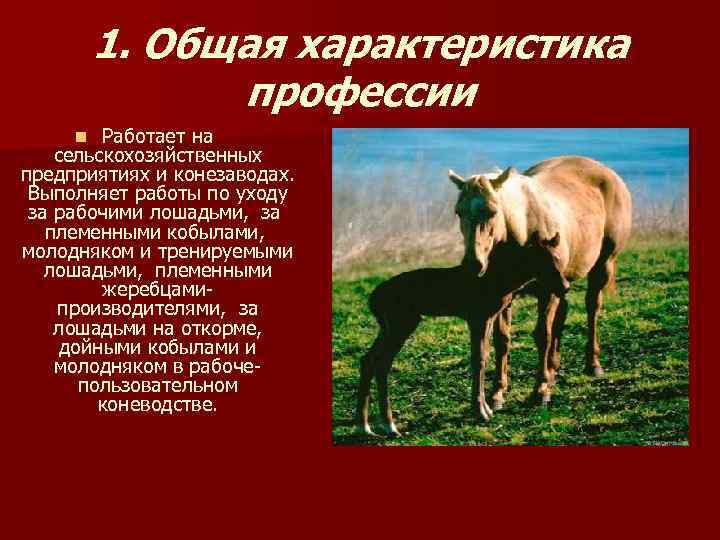    1. Общая характеристика    профессии n  Работает на