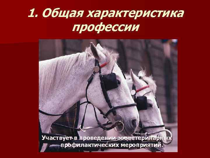 1. Общая характеристика  профессии  Участвует в проведении зооветеринарных   профилактических мероприятий.