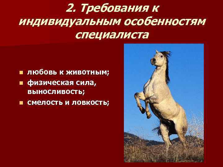   2. Требования к индивидуальным особенностям   специалиста  n любовь к