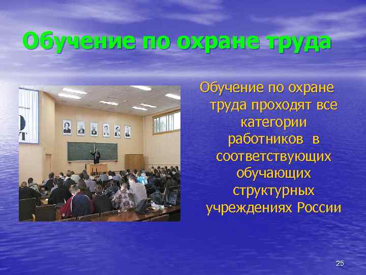 Образование и труд