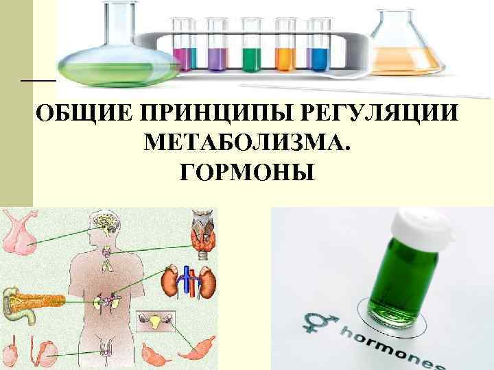 ОБЩИЕ ПРИНЦИПЫ РЕГУЛЯЦИИ  МЕТАБОЛИЗМА.   ГОРМОНЫ 