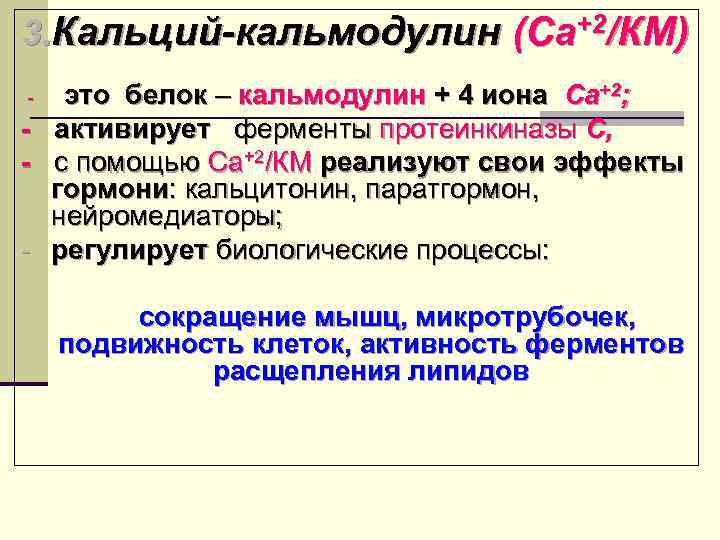 3. Кальций-кальмодулин (Са+2/КМ) -  это белок – кальмодулин + 4 иона Са+2; -