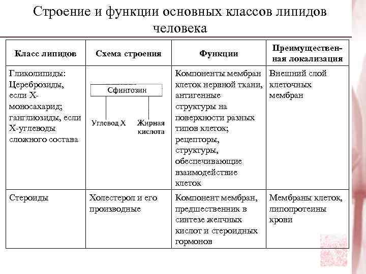  Строение и функции основных классов липидов    человека   