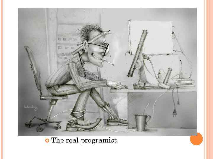   The real programist 