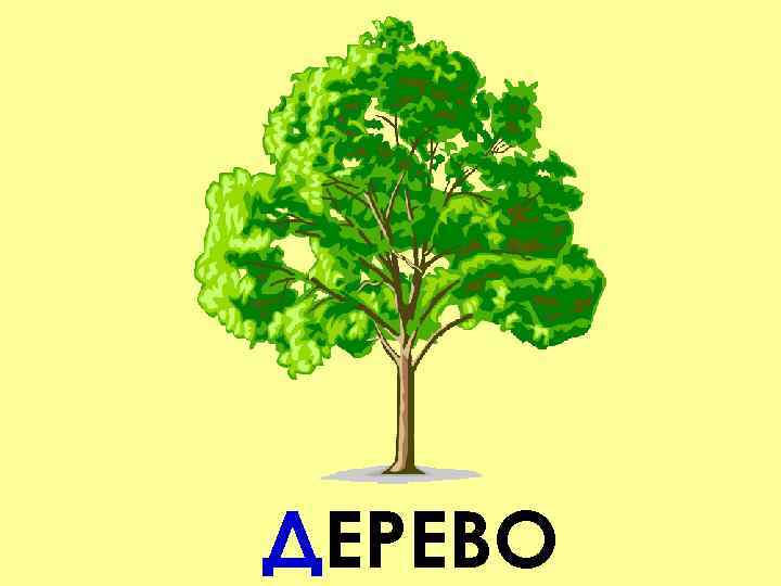 ДЕРЕВО 