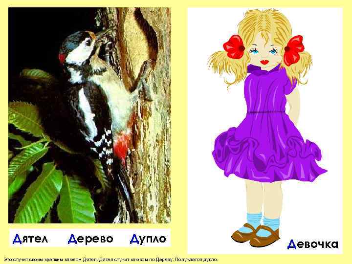   Дятел   Дерево    Дупло    