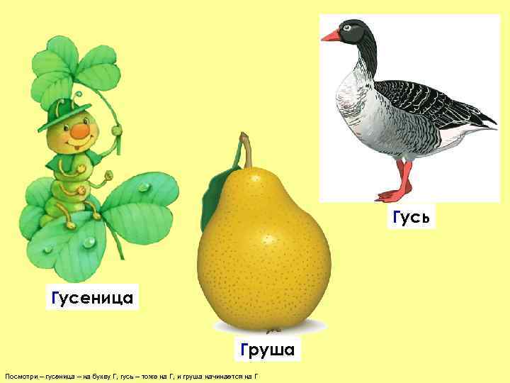        Гусь   Гусеница   