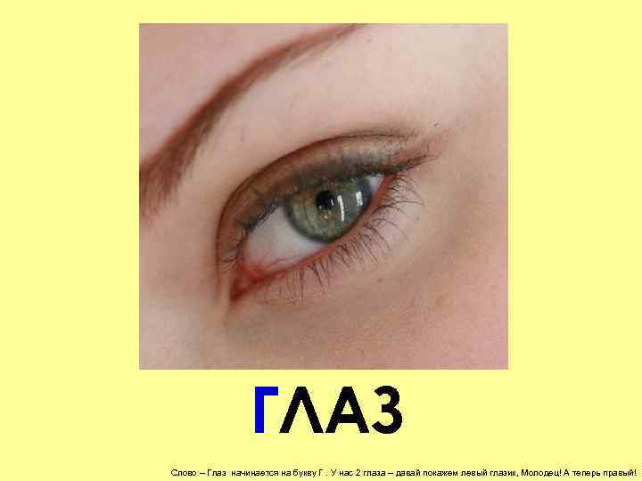    ГЛАЗ Слово – Глаз начинается на букву Г. У нас 2