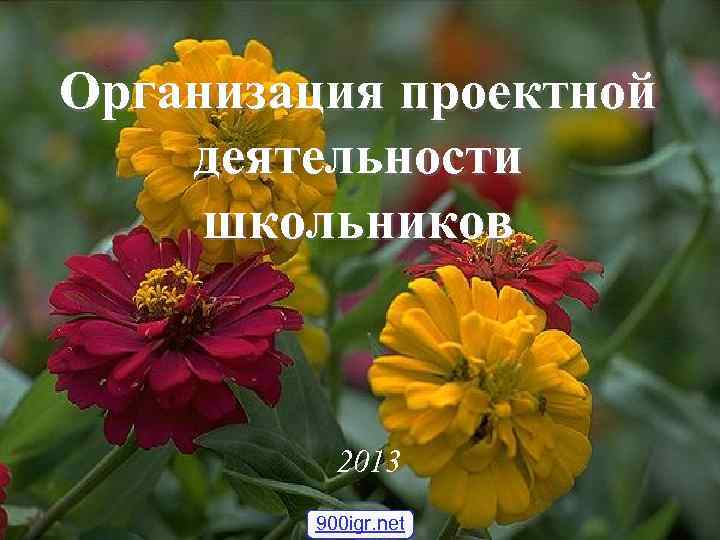 Организация проектной деятельности школьников 2013 900 igr. net Организация проектной деятельности школьников 2013 900 igr. net