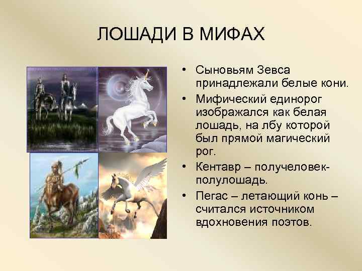 ЛОШАДИ В МИФАХ   • Сыновьям Зевса  принадлежали белые кони.  