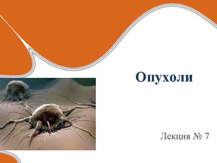 Опухоли Лекция № 7 