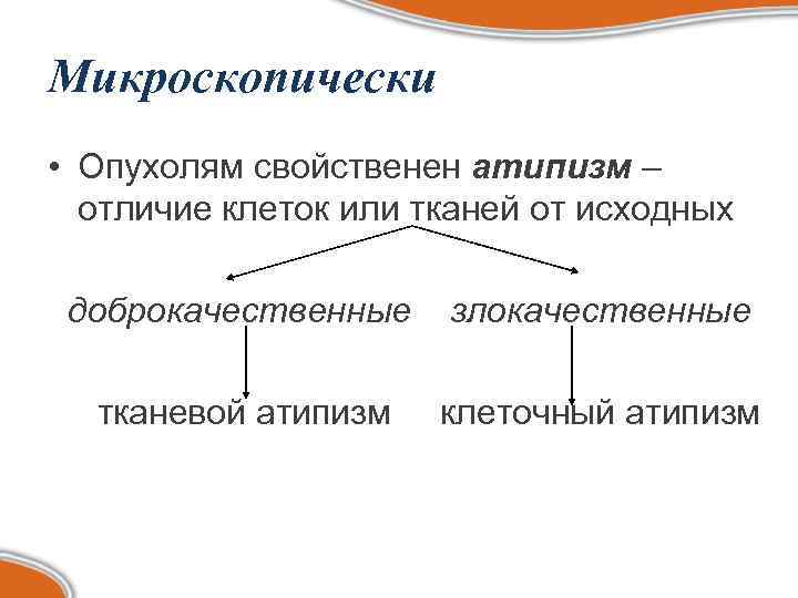Микроскопически • Опухолям свойственен атипизм –  отличие клеток или тканей от исходных 